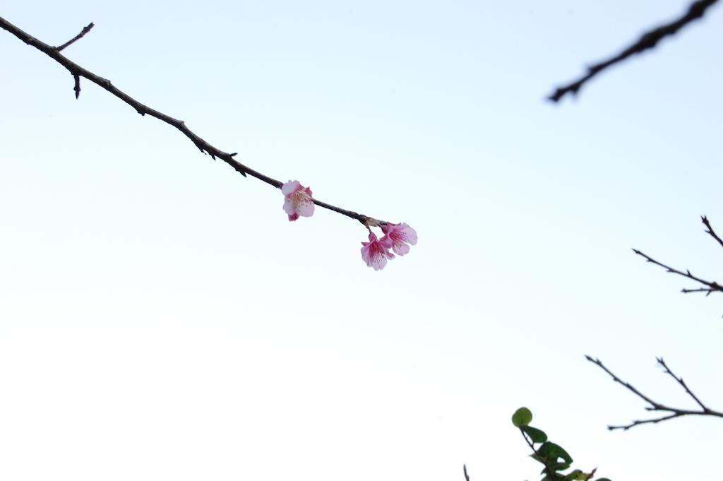 Yukurinaresort Okinawa Garden House Motobu Buitenkant foto